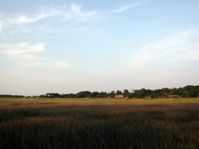 a field of grass and trees