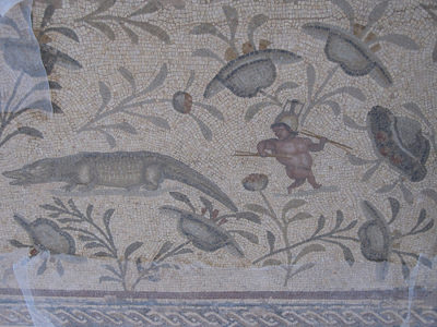 a mosaic of animals and plants