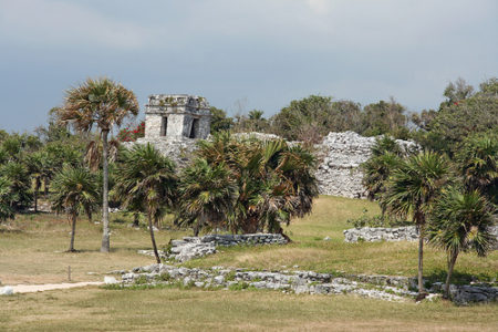 a ruins of a building and palm trees