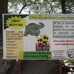 Madras Crocodile Bank – conservation and wry humor