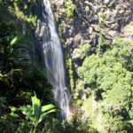 UNESCO-listed Lamington National Park – world’s first tree top walk and obstructed view of the falls