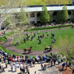 Keeneland, KY: day at the races, white tablecloth tailgating and cornhole