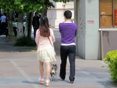 a man and woman walking a dog