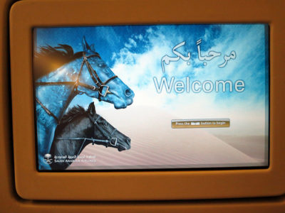 a screen with horses on it