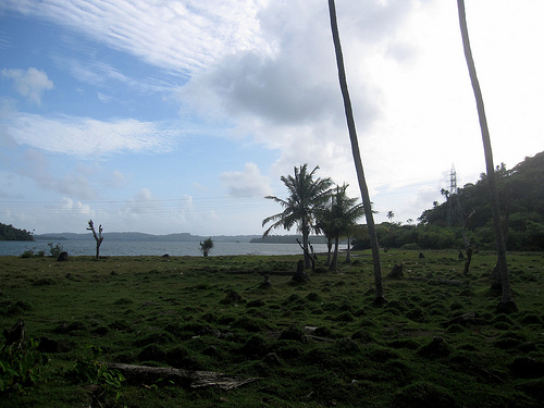 Andaman Islands 041