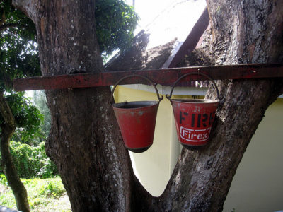 buckets from a tree