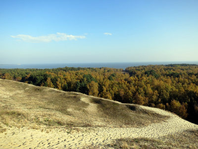 a sand hill with trees in the background
