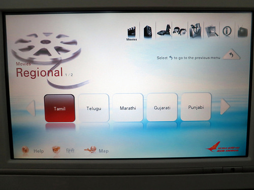 Air India Dreamliner 06