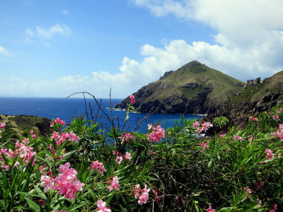 a green hill with pink flowers and blue water