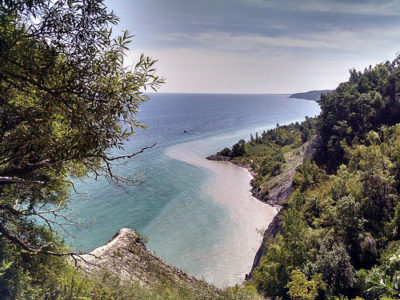 a body of water with trees and a cliff
