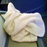 Do You Hang On to the Airline Hot Towel?