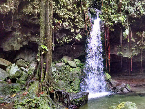 Dominica Morne Trois Pitons National Park Emerald Pool 03