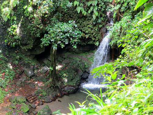 Dominica Morne Trois Pitons National Park Emerald Pool 02