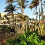 Hilton Aruba Guide for Club Carlson Bookings