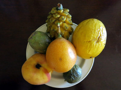 a plate of different fruits