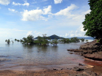 a body of water with trees and rocks